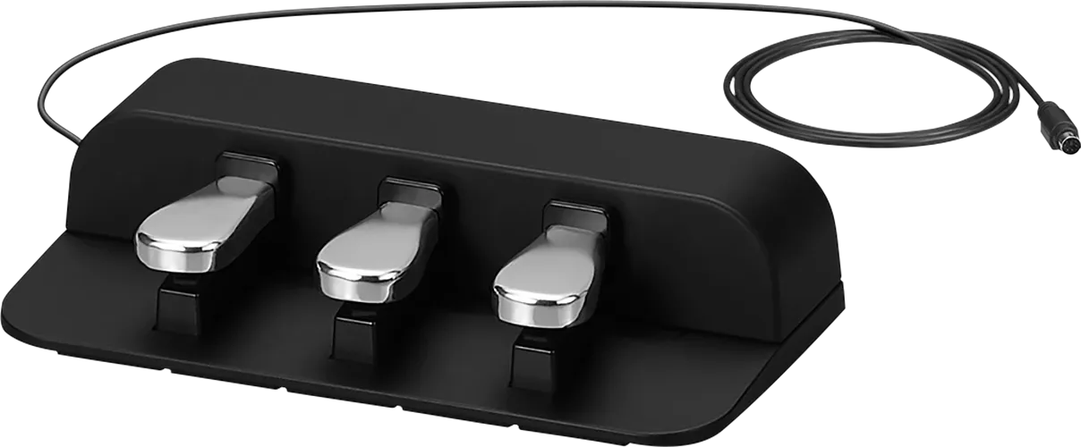Casio SP-34 3-Pedal Board Unit w/ Sustain, Soft, & Sostenuto for Privi –  Tegeler Music